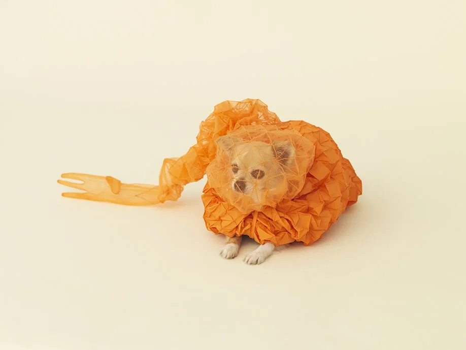 Chihuahua Cloud — Reiser+Umemoto, RUR Architecture DPC